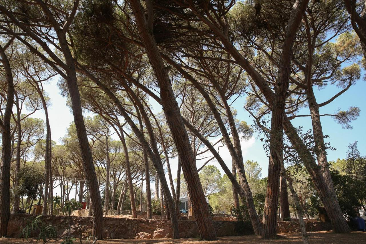 Camping 3 Estrellas Costa Brava ヴァイ・ジョブレガ エクステリア 写真